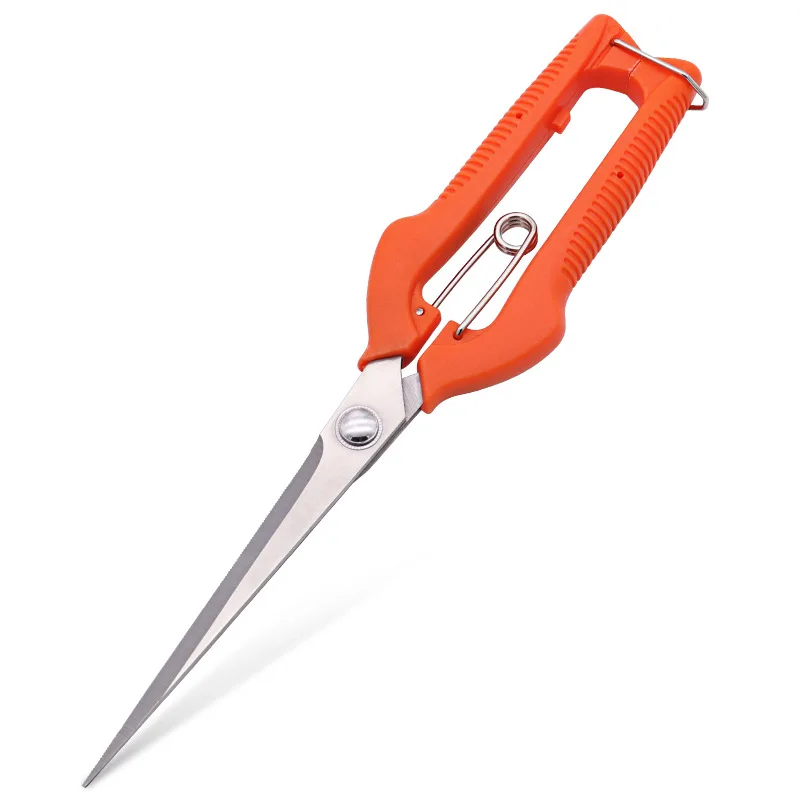 

Grape Scissors Pruning Shears Garden Tool Vegetable Patch Bonsai Professional Joinery Stainless Steel Fruit Picking with Lock