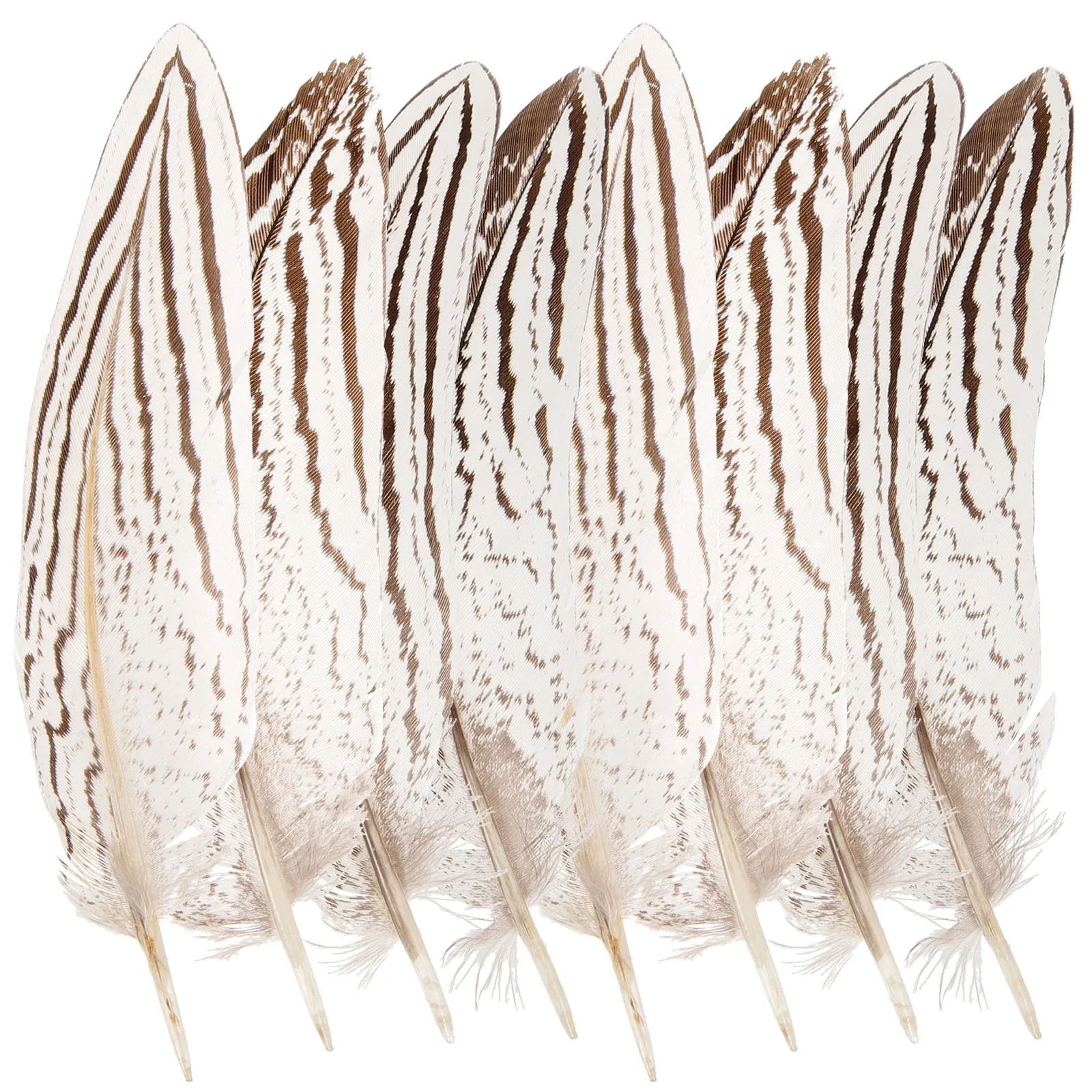 

10Pcs Silver Rooster Plumes Natural Craft Decor for Dream Catcher Vase Arrangement Party Wedding DIY Home Decor Supplies