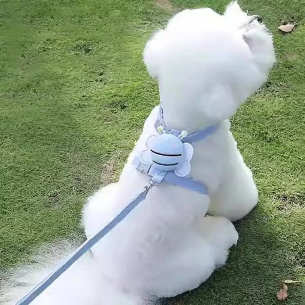 Heißer haustier tragbare brust zurück hund biene brust gurt zu fuß hund leine leine kleine und mittelgroße hund haustier liefert