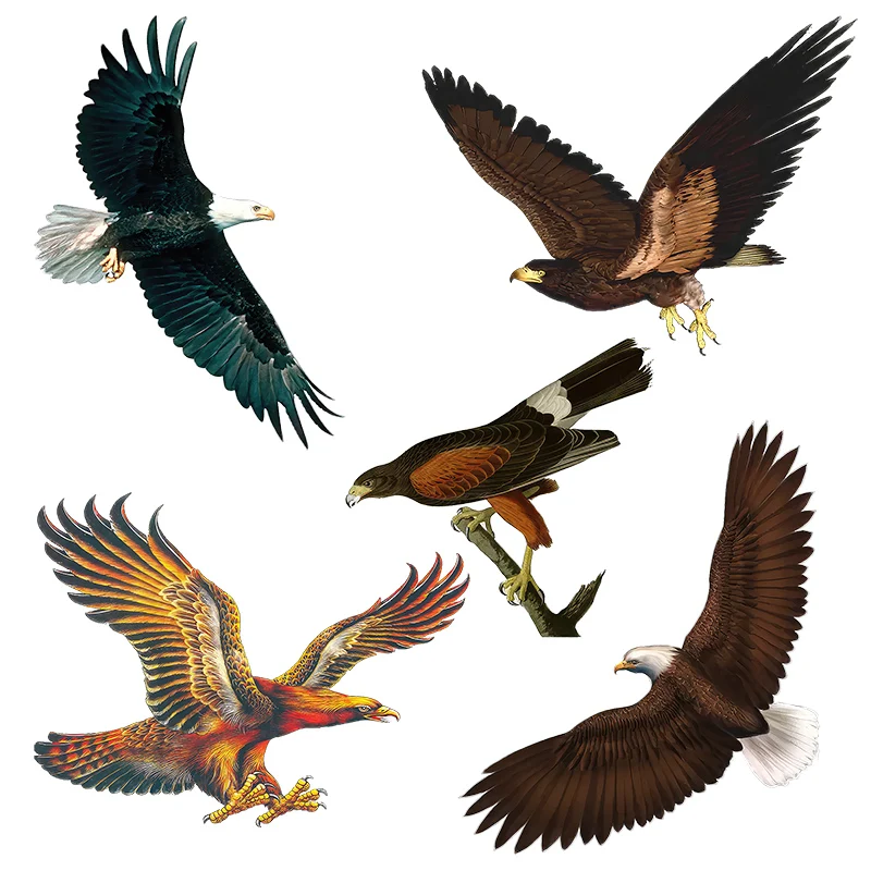 Three Ratels CD20 Eagle Sticker Home Decoration Art Wall Sticker Furniture Sticker Waterproof Bathroom Sticker