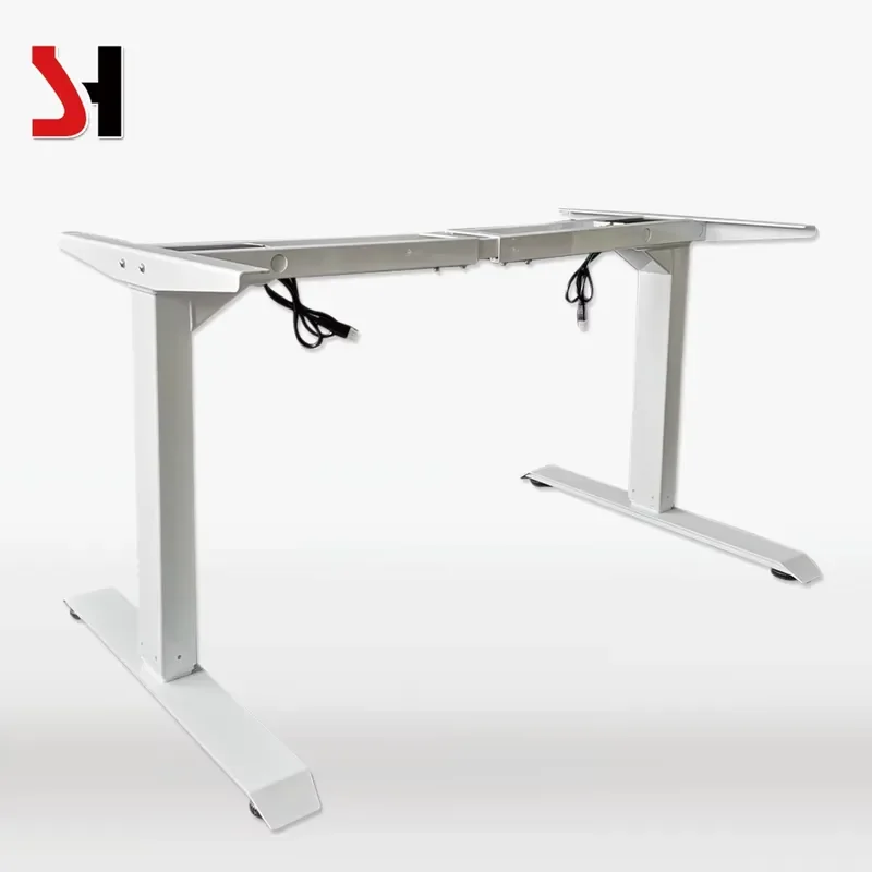 Electric Standing Desk Dual Motor Height Adjustable Modern Computer Desk Ergonomic Work Study Table Easy Assembly