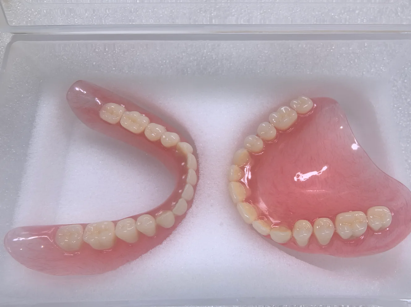 Full Senior Teeth Full Teeth Model Display Supplies Full Dentures Removable Dentures  Prosthodontics  Dental Student Training