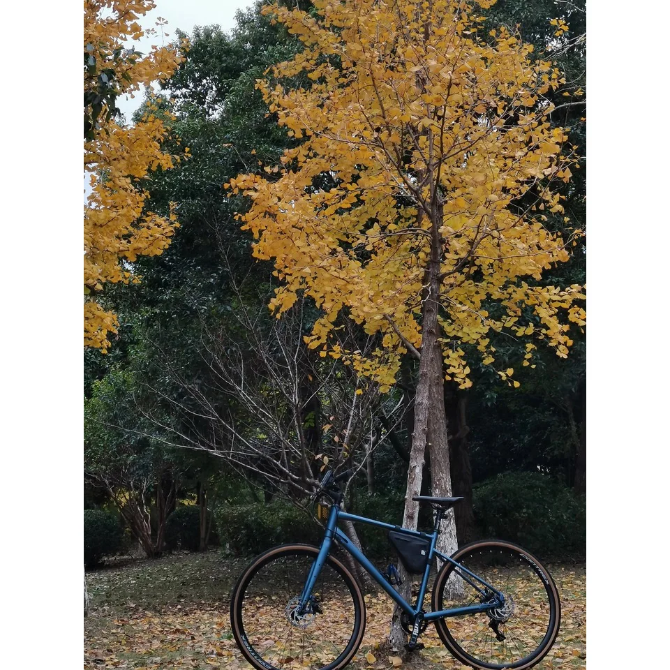 700c دراجة الإطار راما الدراجة الهوائية سبائك الألومنيوم الطريق إطار دراجة هوائية كوادرو دي bicicleta مع شوكة راما روروبا 자gegengar Prêêjaa #6