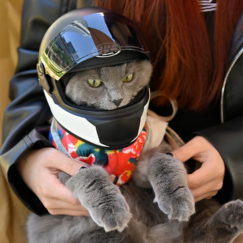 HVA Casco de motocicleta para mascotas pequeñas, Mini cascos para gatos, perros y cachorros, casco de motocicleta de cara completa, protección para la cabeza al aire libre, casco duro para mascotas