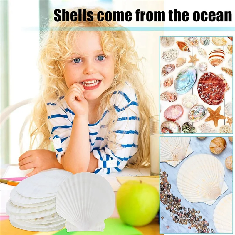 

A32Z-15 шт., большие белые ракушки из натуральной морской ракушки, 4–4,7 дюйма, гребешки для поделок своими руками, сервировки еды, выпечки и прочные