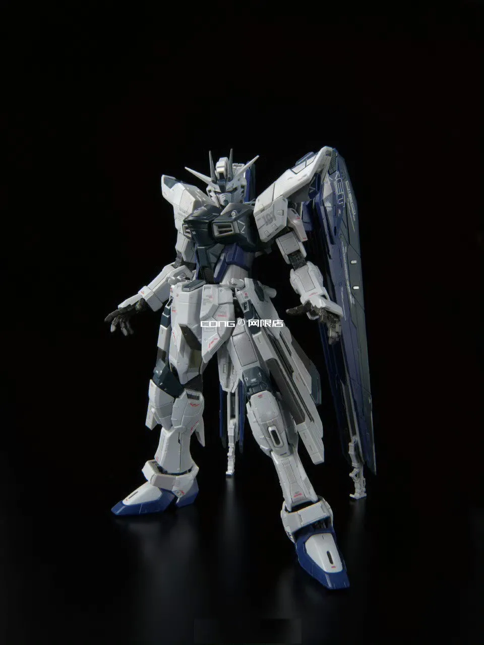 Bandai Genuine RG LIMITED ZGMF-X10A FREEDOM GUNDAM Ver.GCP