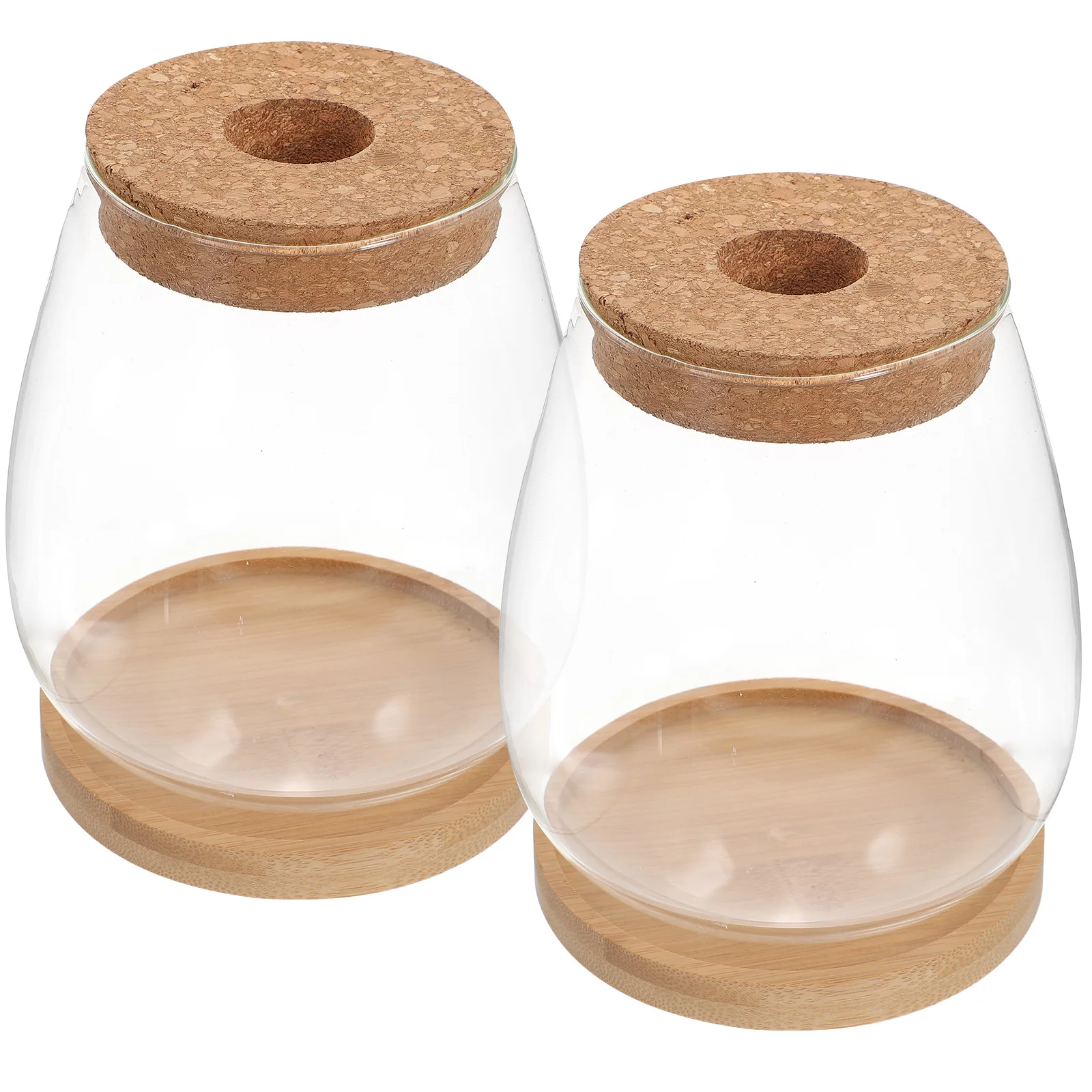 

Glass Terrarium Eco Bottle Planter Vase Decor Micro Landscape DIY Container Wood Stand Clear Glass Home Office Bedroom Study