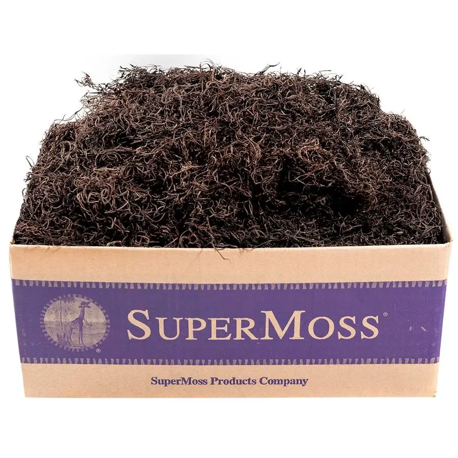 

27016 Spanish Moss Preserved, Coffee, 3lbs