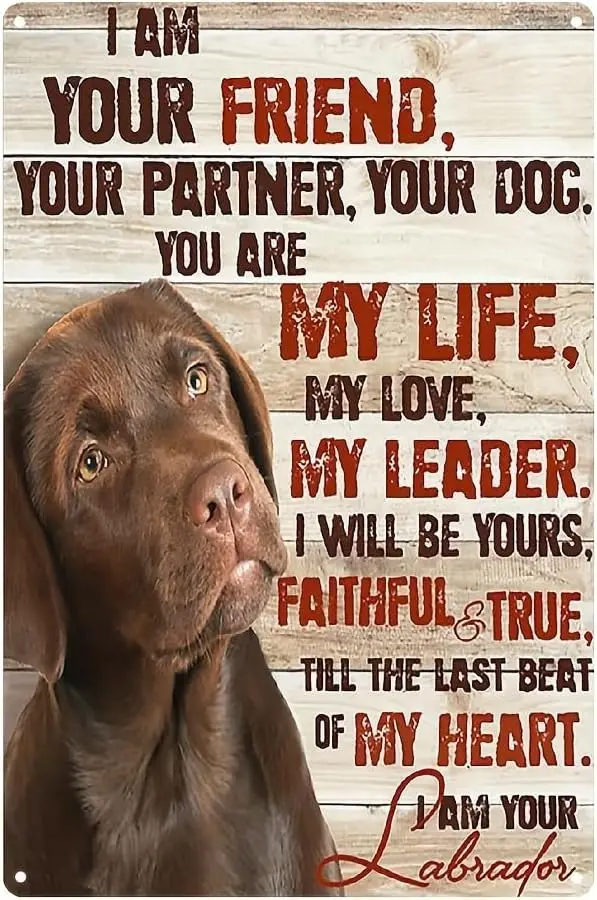 Vintage Your Partner Your Dog Chocolate Labrador Aluminium Metal Tin Sign   Tin Poster Wall are Decor New
