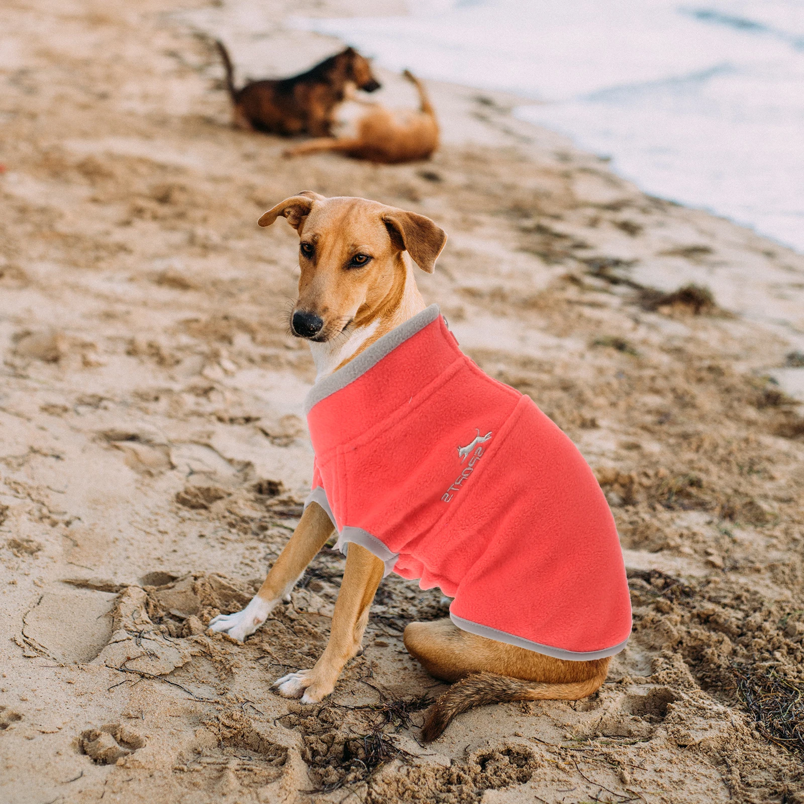 

Dog Sweaters Pet Thickened Cashmere Sweatshirt Small Clothes for Autumn And Winter Dogs