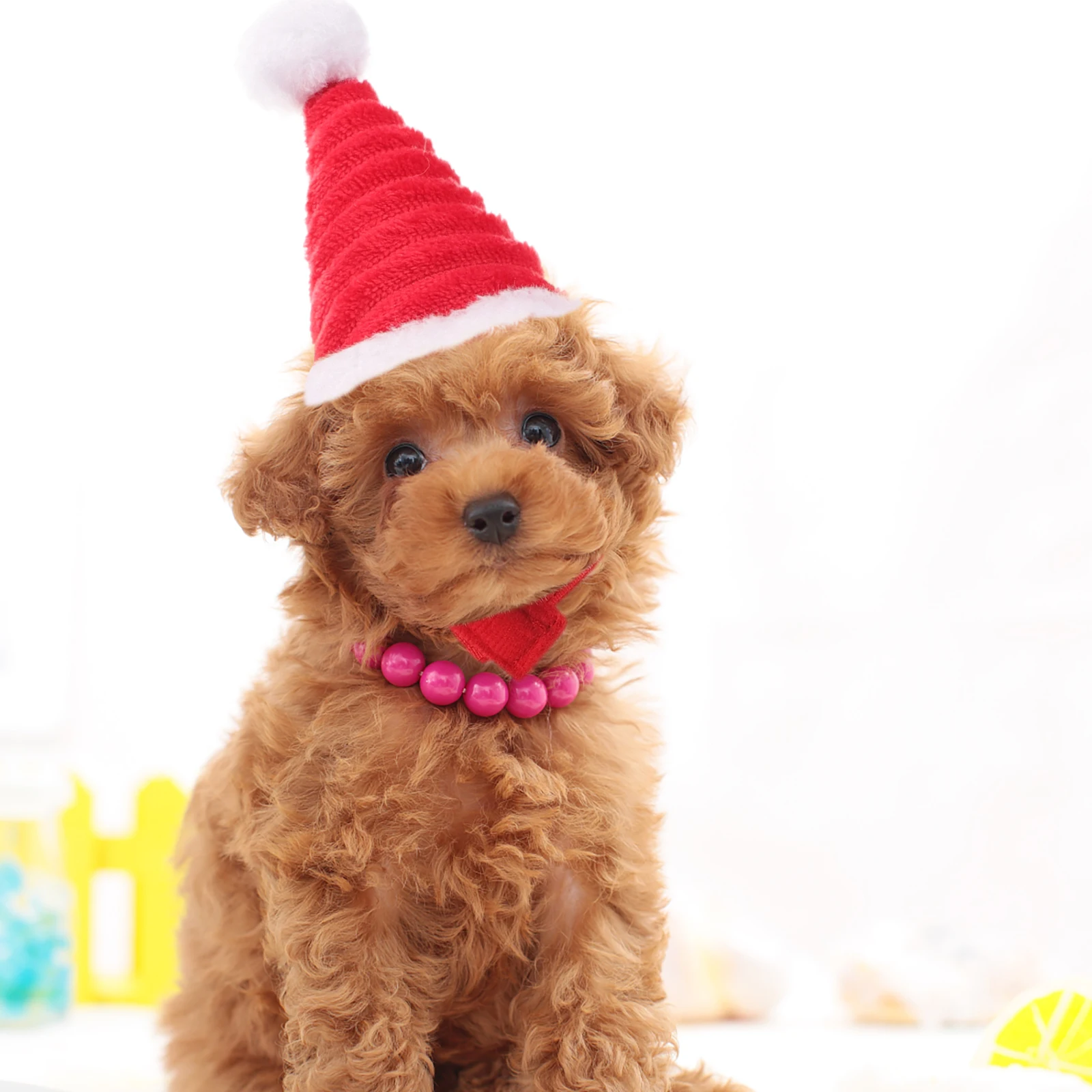Papai Noel para animais de estimação acessório de festa de natal gato hamster traje inverno feriado chapelaria bonito malha roupa para animais de estimação cão animal de estimação