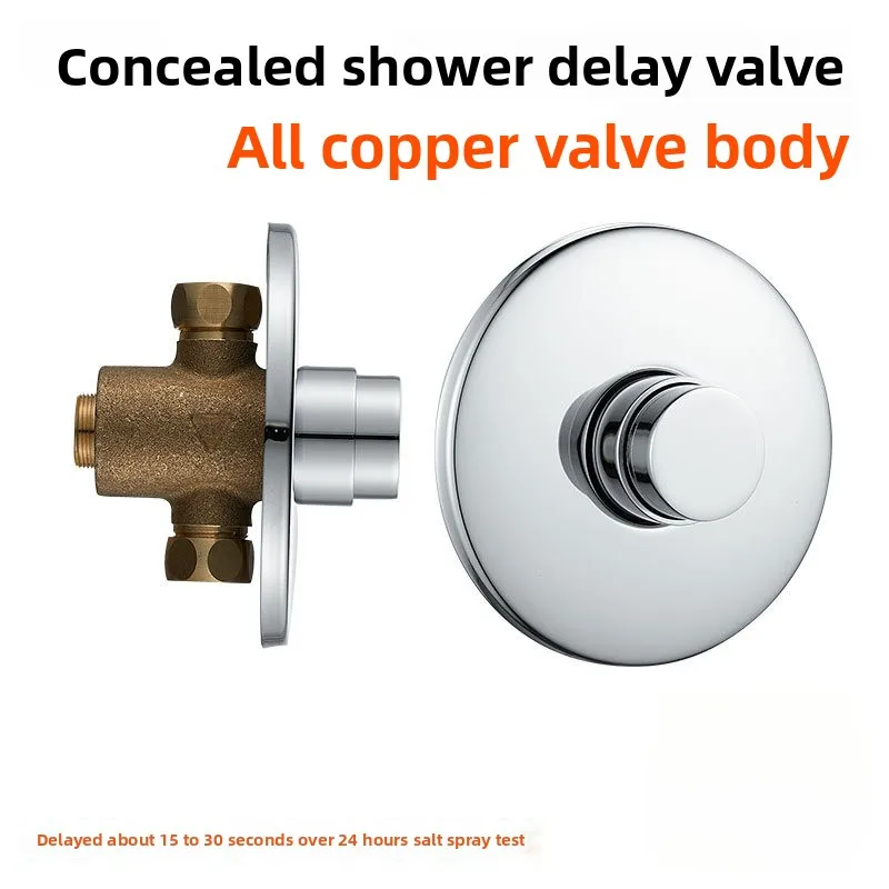 

Swimming Pool Bathroom Concealed Single Cold Delayed Shower Faucet Outdoor Beach Surface Installed Push-type Delayed Switch