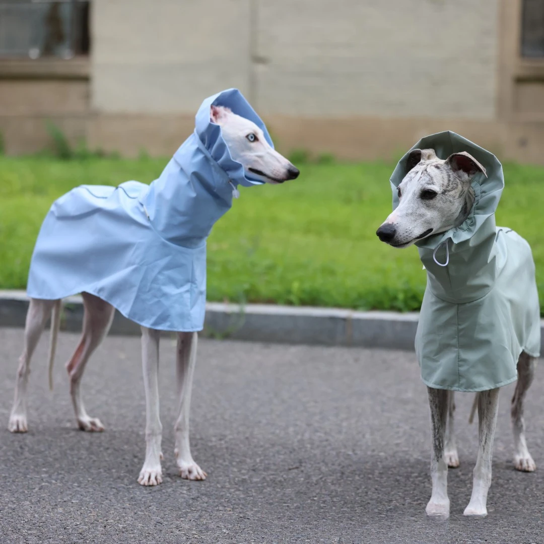 Einfarbiger Regenmantel für Italienische Windhunde und Whippets im Frühling und Sommer, Leichte, Taillenverstellbare, Winddichte Jacke für Hunde – Detail 14