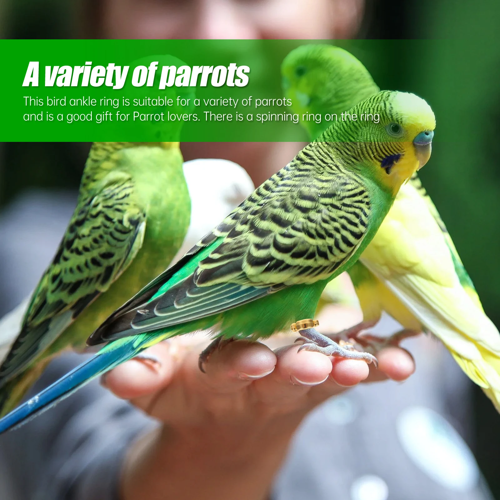 

4 Pcs Feet Stainless Steel Leg Rings Flying Training Foot Golden Metal Parrot Opening