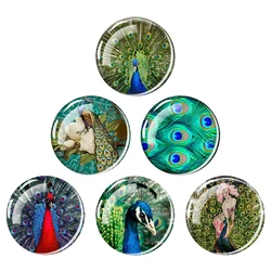 Peacock Feather Fridge Magnet Peacock Flaunting Its Tail Glass Dome Magnets Refrigerator Stickers Office Kitchen Home Decor Gift