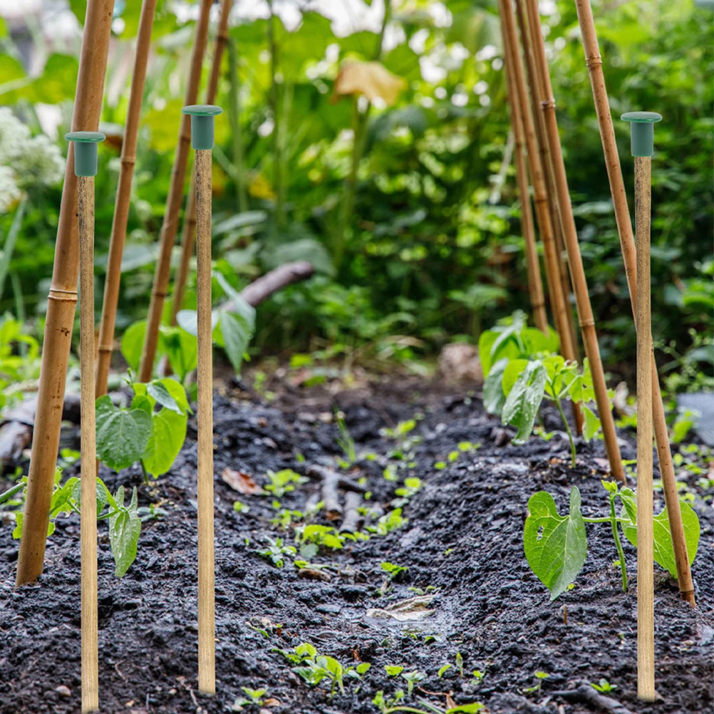 48 قطعة من البلاستيك قصب توبر خفيفة الوزن غطاء قضيب الحديقة لمزرعة الكرمة دعم القطب حماية غطاء الزاوية سياج قصب توبر