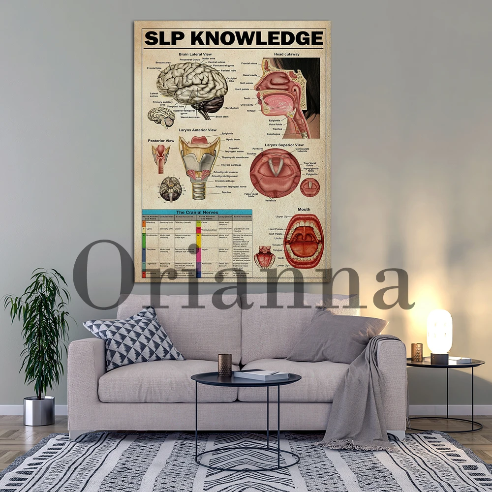 Speech Language Pathology Print, SLP Knowledge Posters, SLP Canvas, SLP Wall Decor, Slp Gift, Vintage Wall Art Painting