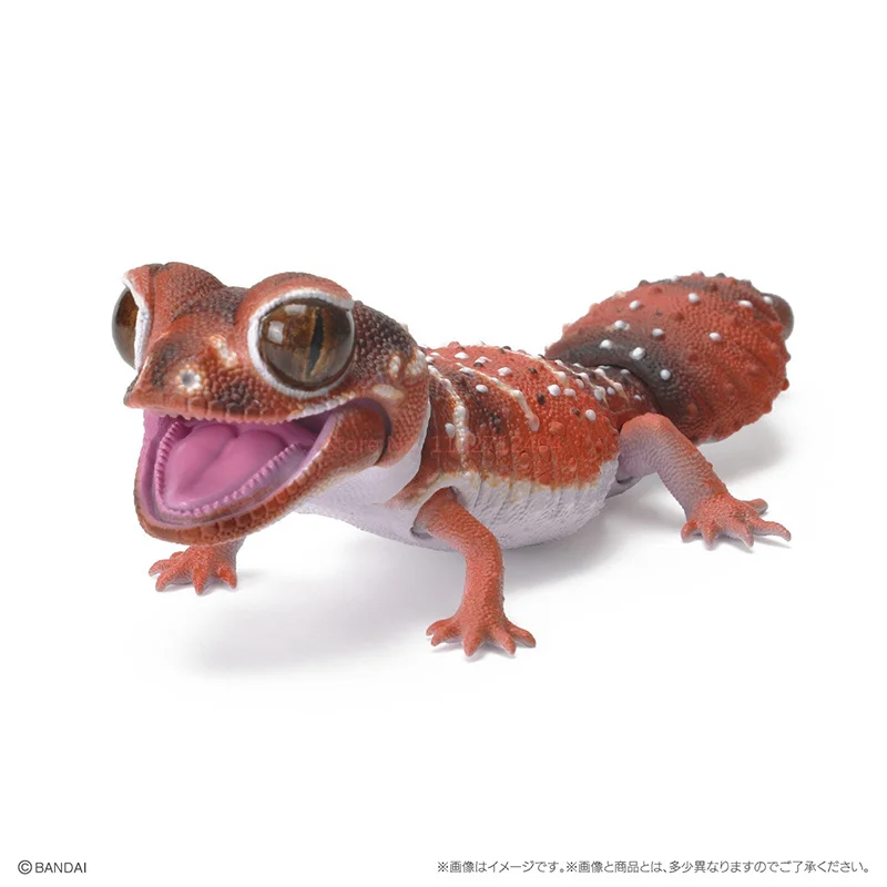 Bandaitwisted Egg Biological Map Wall Lizard Tailed Leopard Gecko Lizard Tumor Tailed Guard Lespetit Simulation Movable Figure