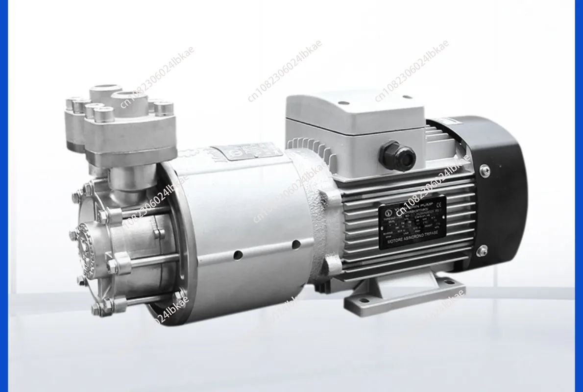 Stainless Steel High and Low Temperature Map-1100-180 Chemical Pump Miniature Magnetism Forle Pumps