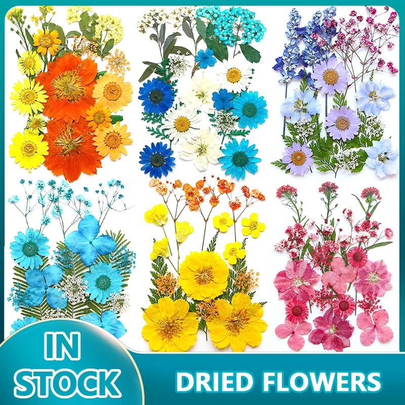 Real Pressed Dried Flower Dry Plant Stickers for DIY Phone Case Epoxy Resin Filling Pendant Jewelry Making Craft DIY Accessories