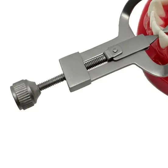 

Dental Tooth Teeth Separator Dividor Wedges Retainer Anterior Posterior Orthodontic Matrix Rubber Dam Dentist Tool