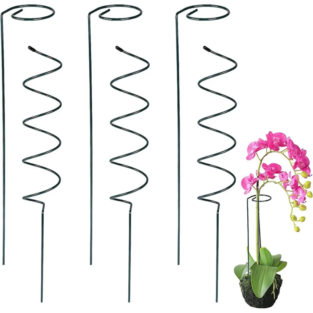 

Fixing Rod Climbing Plant Support Stake Stand Climbing Vine Rack Spiral Tomato Stakes Metal Bonsai Tomato Spiral Stakes Garden