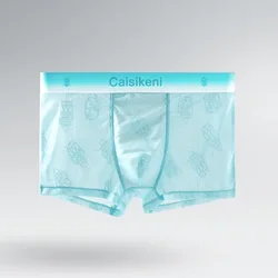 Hot Ultra-thin Men's Underwear Ice Silk See-Through U Pouch Boxer Shorts Male Quick Drying Breathable Panties Briefs Wholesale