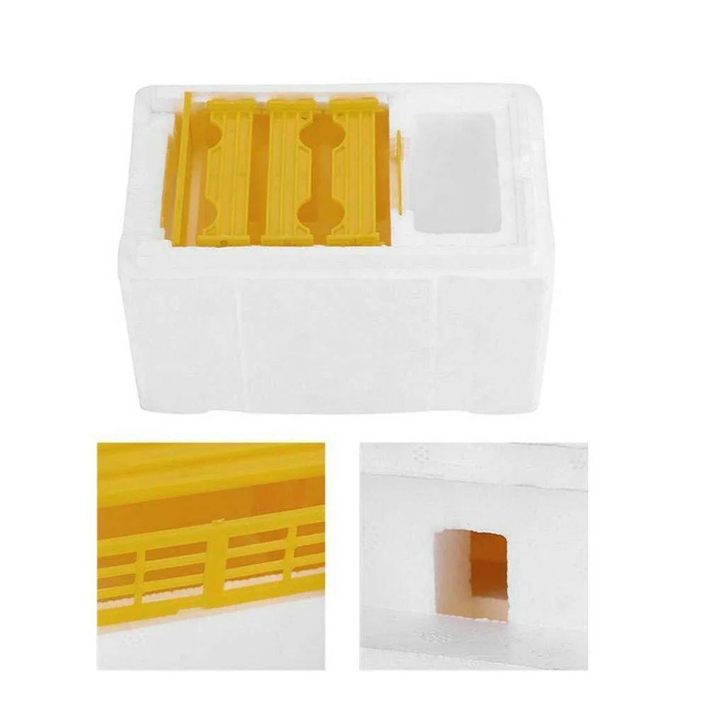 

Foam Bee Mating Box Professional Durable Beekeeping Tool Bee Storage Practical Beehive Accessory Beekeeping Tool