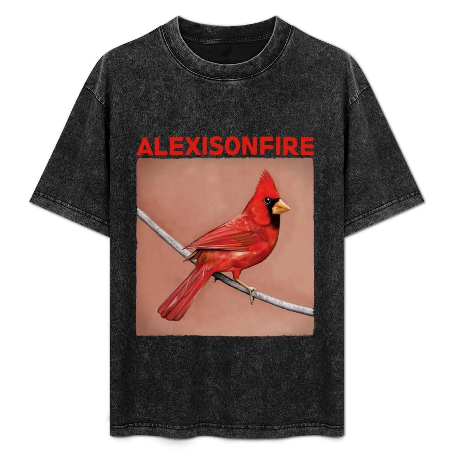 

Attract Attention Most Loved Music Alexisonfire Old Crows Young Cardinals Gifts T-Shirt Anti-Pilling Casual T-Shirt