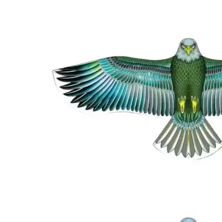 1 قطعة طارد الطيور الملونة لحديقة ساحة النسر طائرة ورقية مضاهاة تحلق الصقر طائرة ورقية الطيور مخيف محرك الطيور طائرة ورقية تخويف جهاز