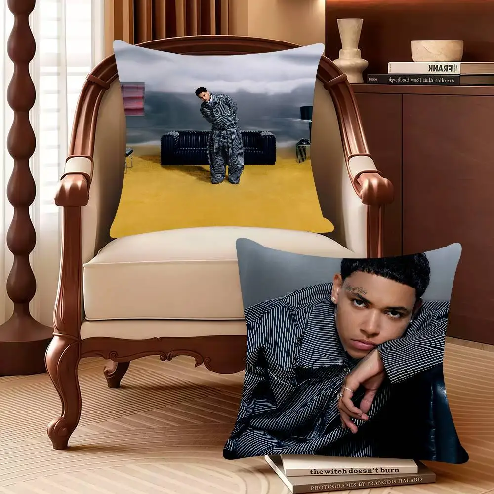 

with all due respect K-Kwn Pillow Case Decor Protective Covers Comfortable soft for Sofa Living Room Home office