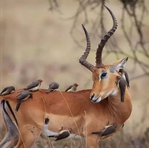 Emax Ecoii 2810/281…