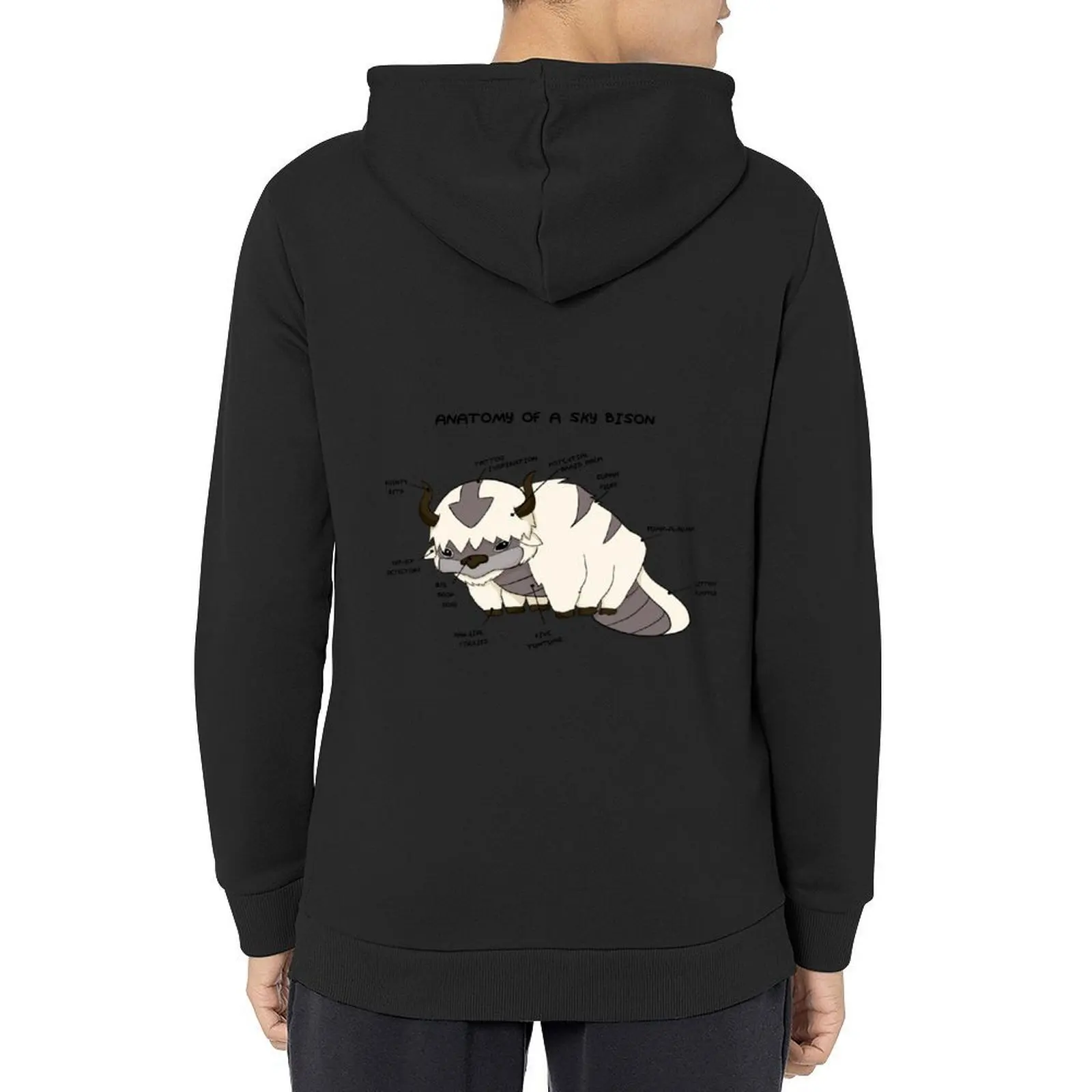 

Anatomy of a Sky Bison Hoodie japanese style men's sweat-shirt set mens designer clothes anime clothing autumn hoodie
