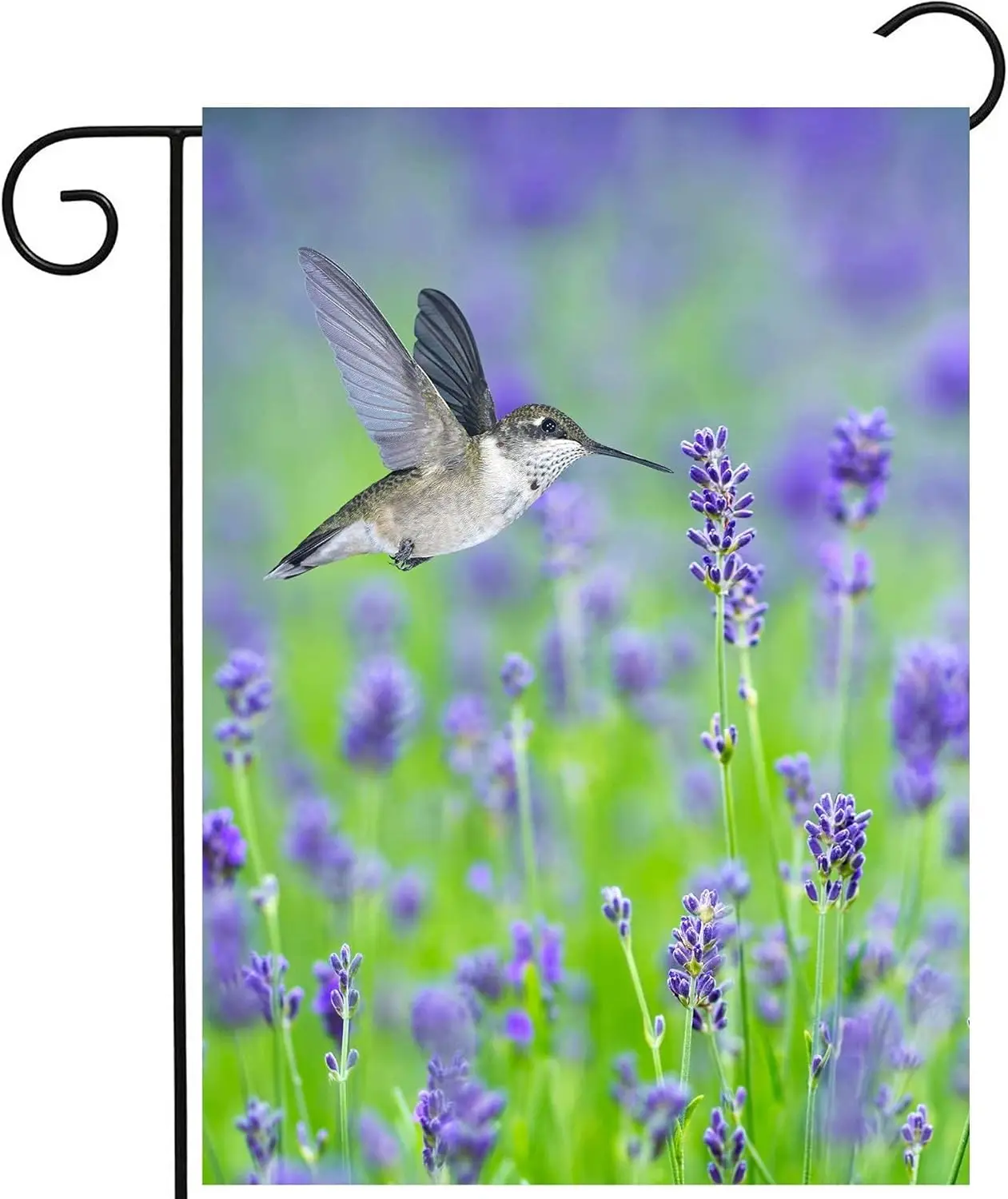 Tropical Summer Spring Hummingbird Bird In Purple Lavender Floral Flowers Garden Yard Flag 12 x 18 Inch, Double Sided Outdoor De