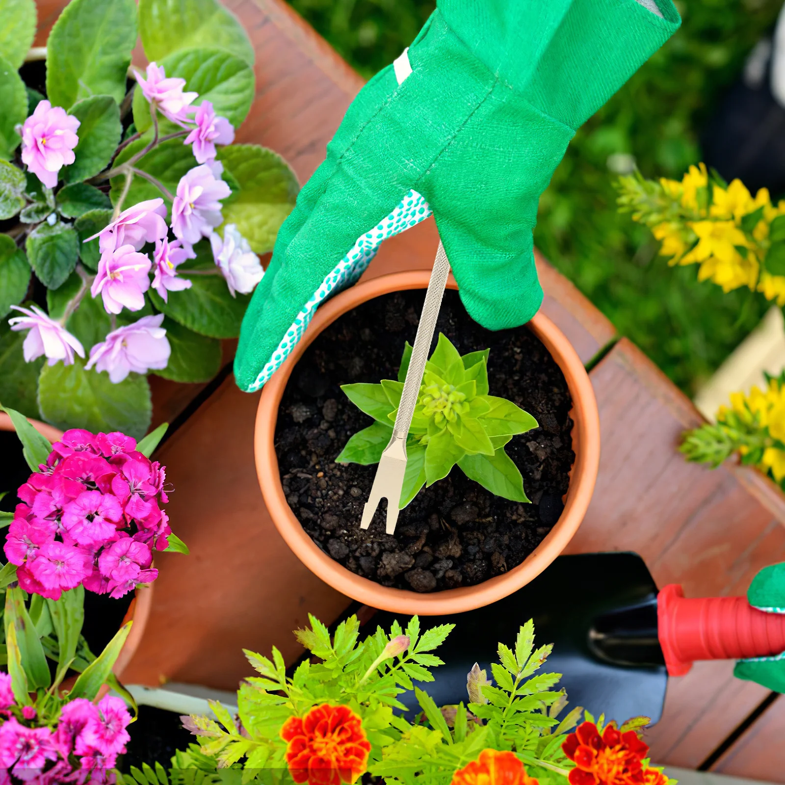 الفولاذ المقاوم للصدأ بونساي أشعل النار بوعاء أداة النبات حديقة معدنية الملقط للعصارة نباتات داخلية اكسسوارات البستنة