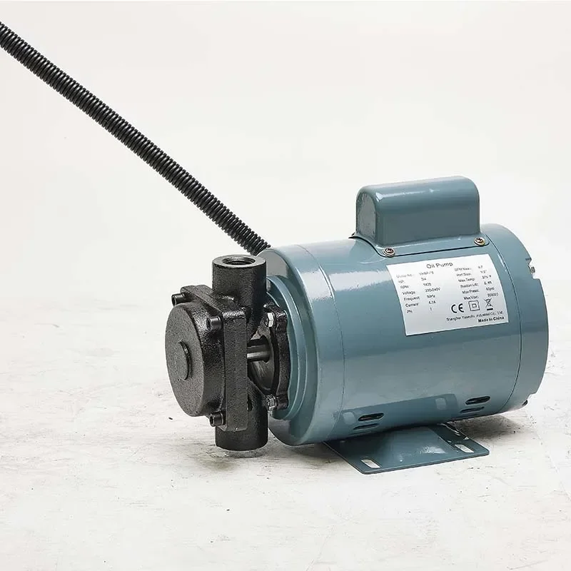 

YHSP-15 Cast Iron Fryer Oil Pump Customized Vegetable Oil Filter Pump