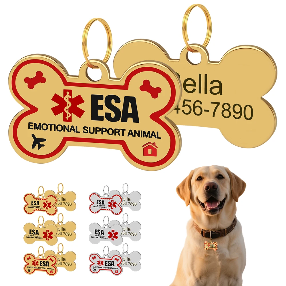Dog Charm Personable