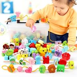 Brinquedos de madeira para bebê, desenhos animados, frutas, animal, corda, threading, grânulos, monterssori, brinquedos educativos para crianças, 9 a 36pcs