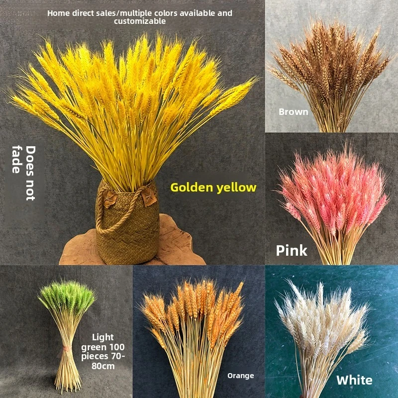 

Barley dried flower flower arrangement golden wheat ears wedding wedding mall opening DIY venue layout eternal flower wholesale