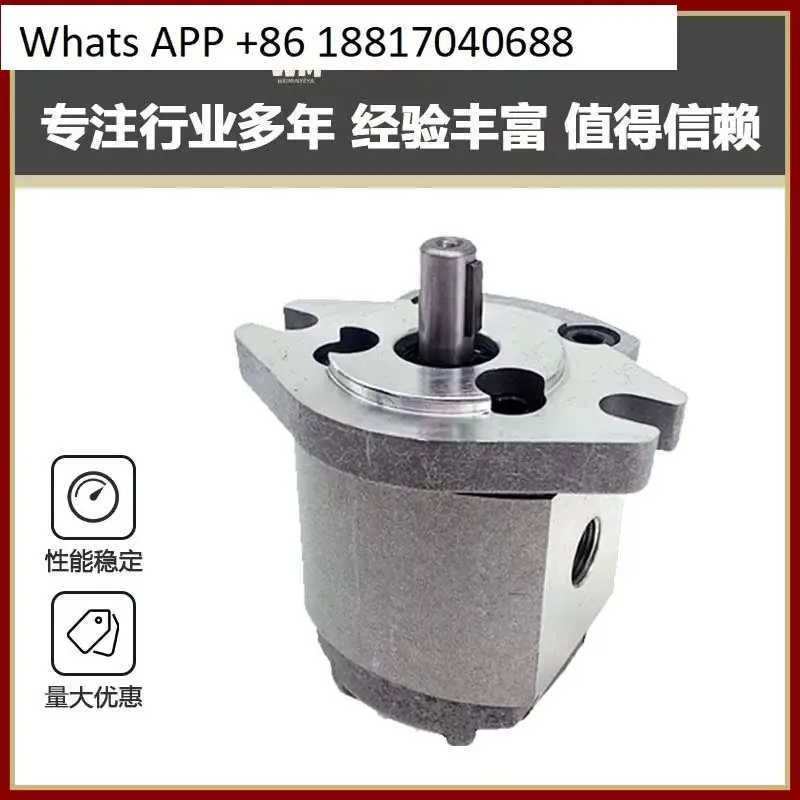 Gear Pump HGP-1A-F4…