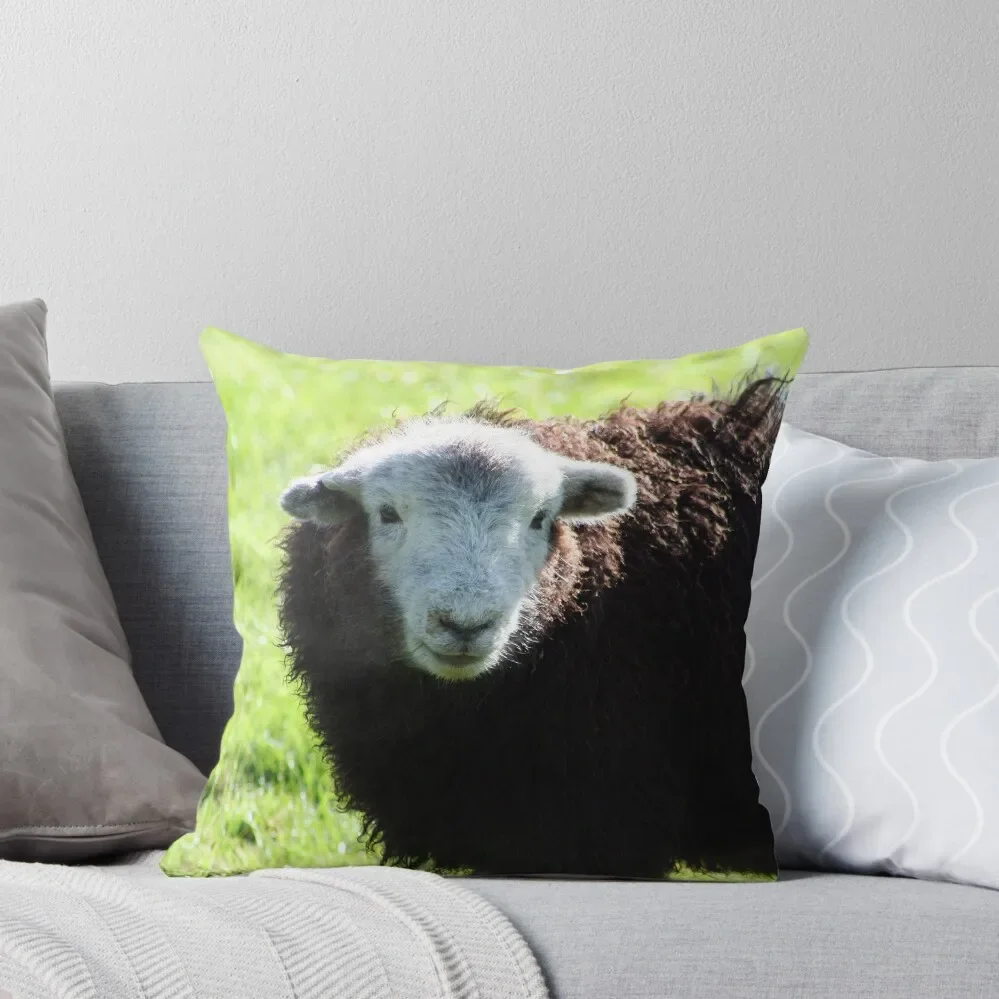 

Herdwick Lamb Throw Pillow Cushions Sofa Cushion Cover Elastic Cover For Sofa Sofa Pillow Cover pillow