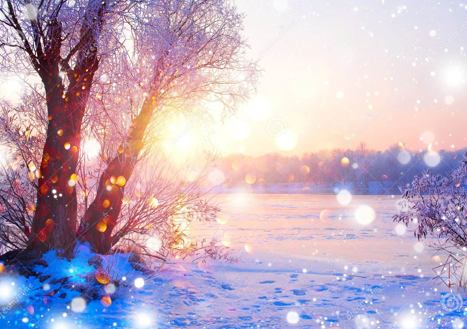 

Winter wonderland scene snow Ice Tree River Bokeh backdrops computer print scenic Photography Studio Backgrounds