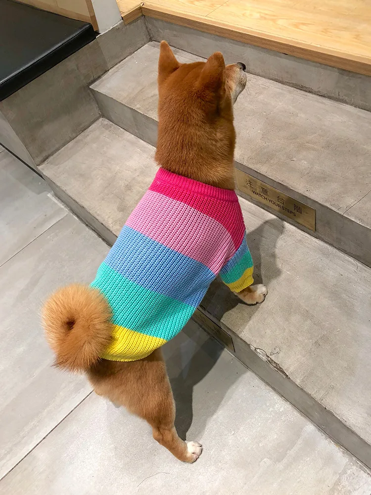 Warm Knitted Rainbow Puppy Sweater, Cute Winter Pet Clothing, Hoodie for Dogs Cats