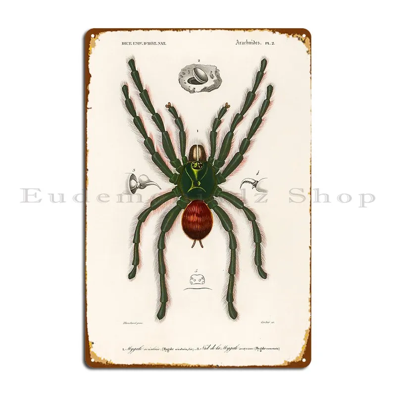 Spider Tarantula Vintage Illustration Geekimpact Metal Plaque Poster Party Plaques Custom Home Living Room Tin Sign Poster