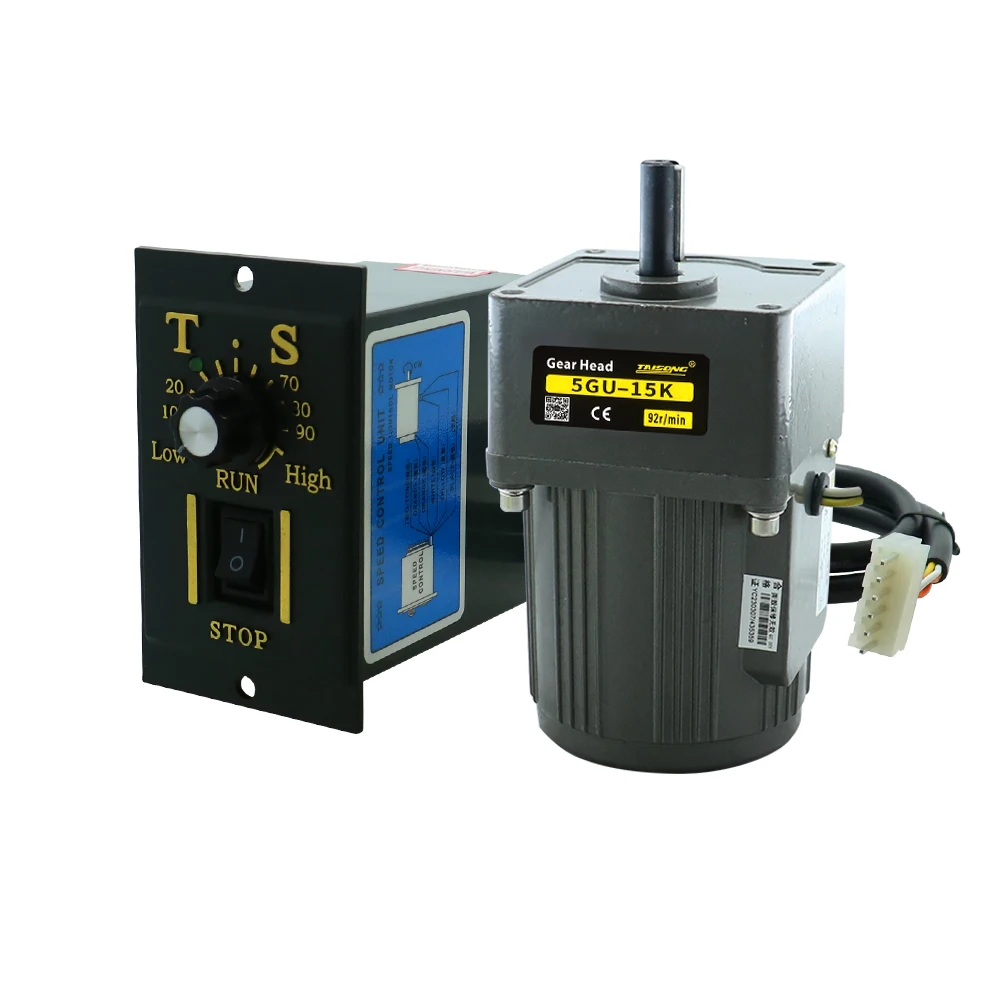Ratio 3 5 6 9 10 15 18 20 300 Electric Constant Speed Single Phase Induction Motor 40w Micro AC Gear Motor with Gevernor