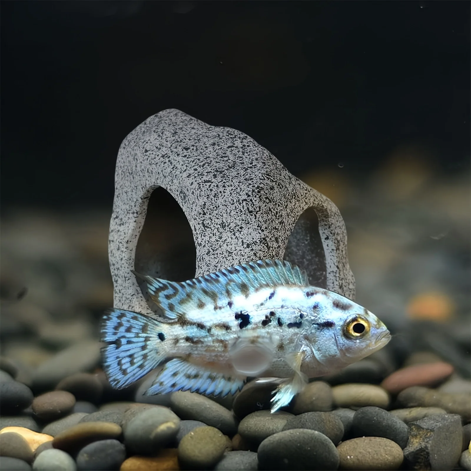 Thumbnail 4 - #46 Latest Aquarium Decor Offers