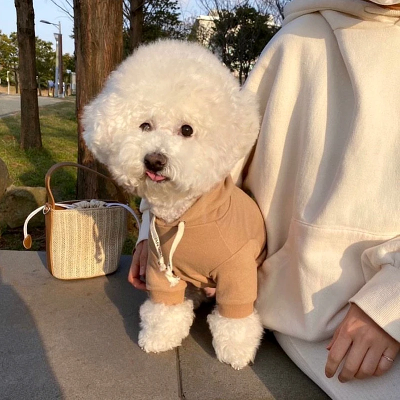 중소형 강아지 스웨터 애완 동물 겨울 옷, 포메라니안 단색 풀오버 슈나우저, 따뜻한 테디 옷