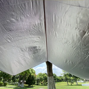 خيمة قماش مزيتة للماء سوبر لايت الشاطئ مظلة حديقة مظلة في الهواء الطلق التخييم القماش المشمع الشاطئ السياحي الشاطئ مظلة الشاطئ أعلى 6 مبيعات لمظلات رافيا - رقم 2
