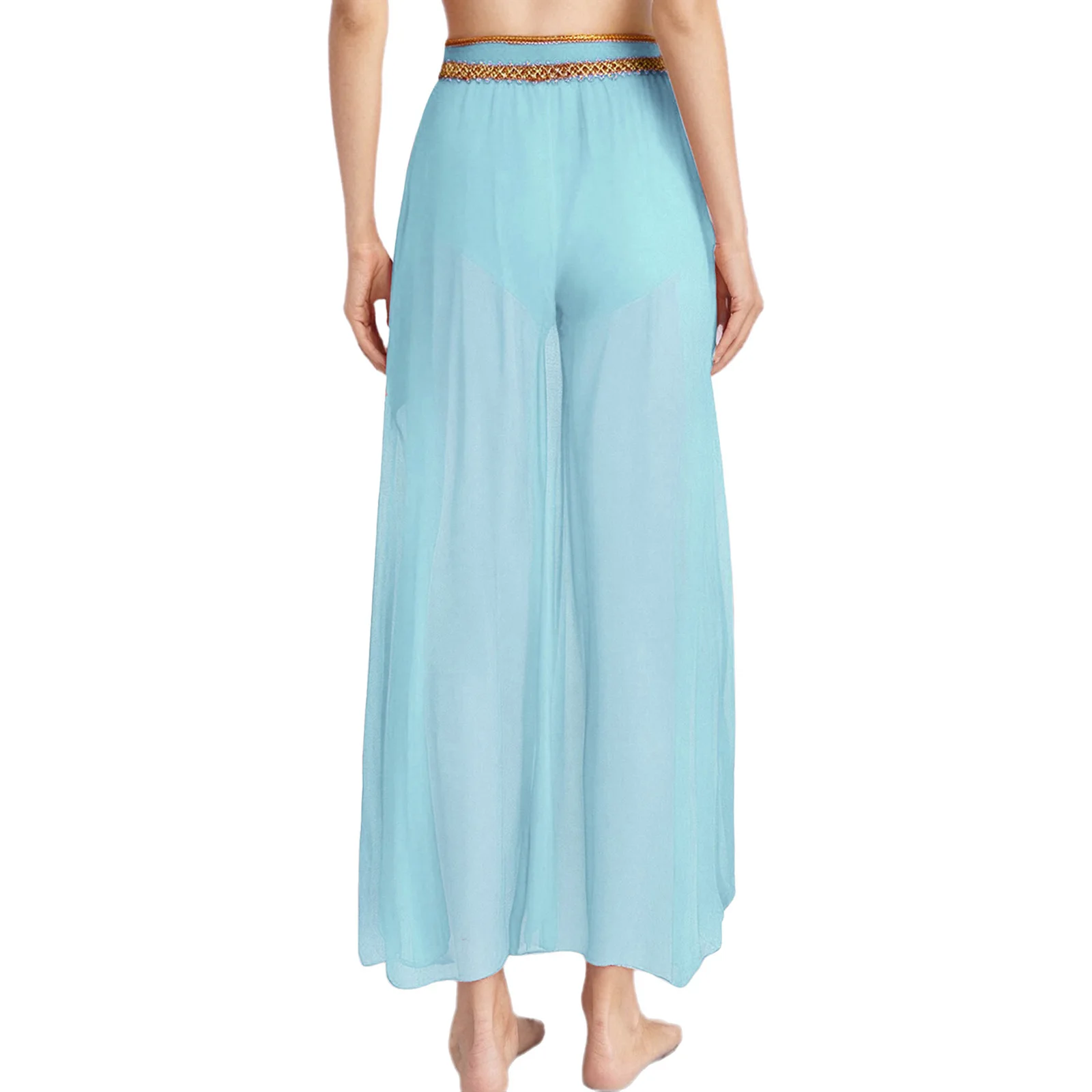 تنورة رقص باليه غنائية للنساء تنورة شيفون شبكية شفافة للأميرة العربية الهندية تنورة أداء الرقص الشرقي