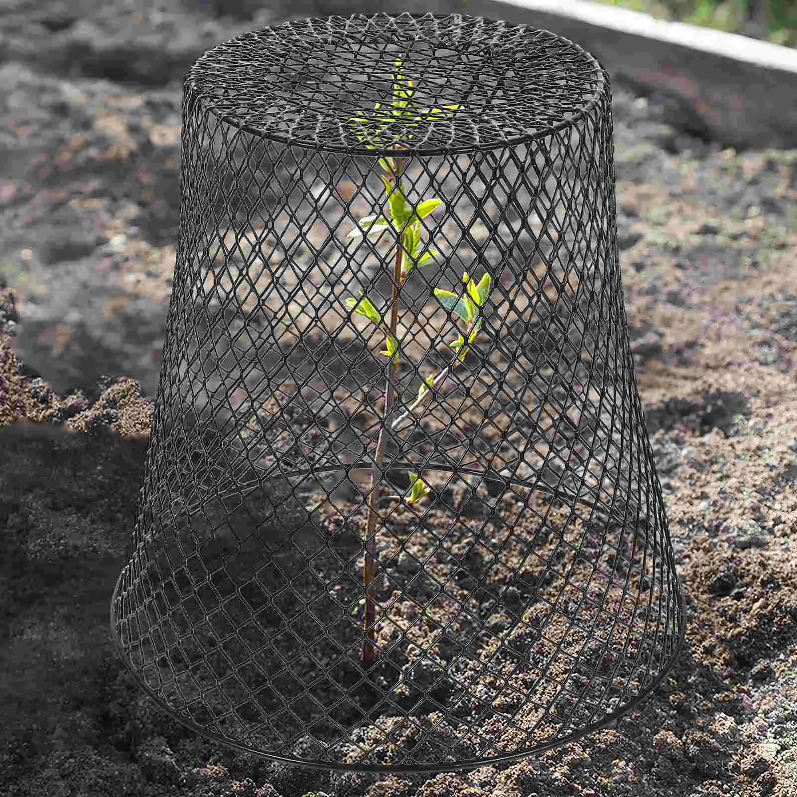 

Garden Cloche Plant Protector Iron Protection Cover Mesh Designed Cage Metal Conicak Indoor Pot